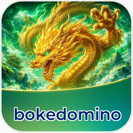 Logo bokedomino