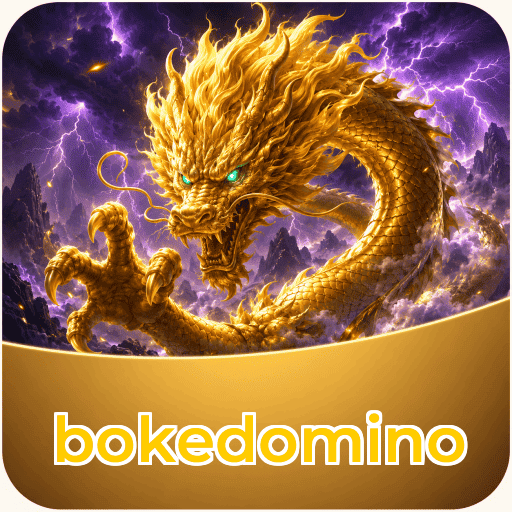 Logo bokedomino